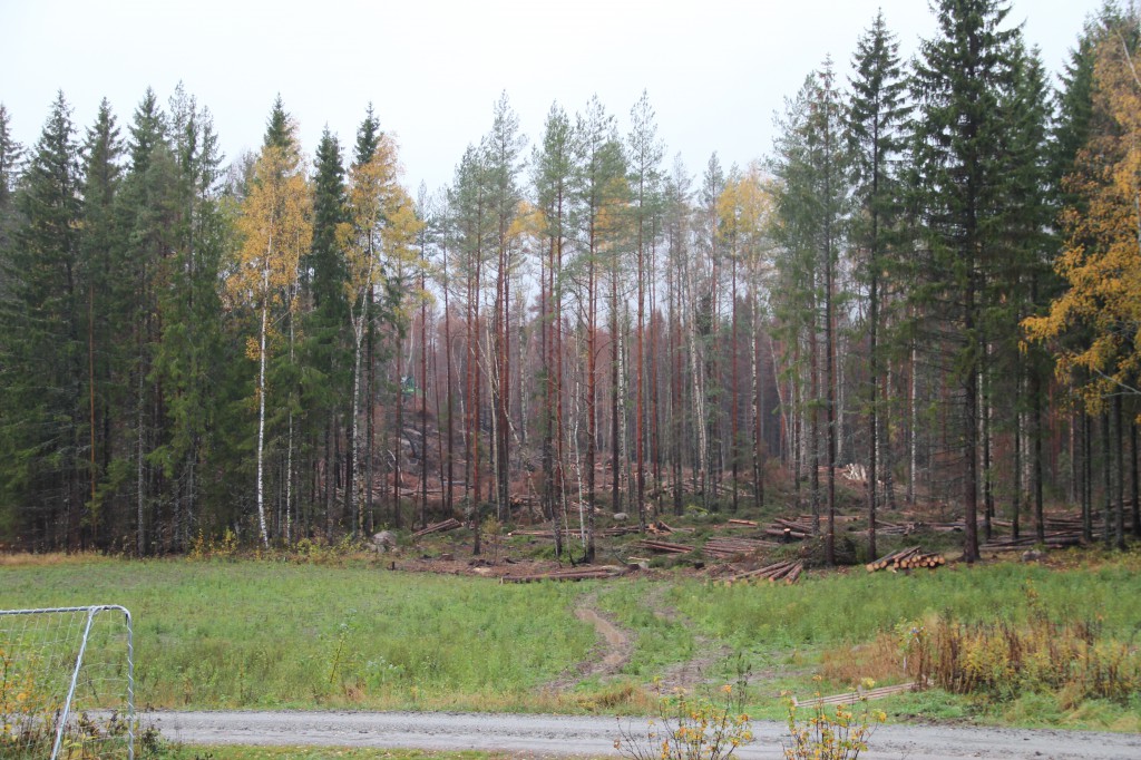 efter med vår trevliga skördarkille0